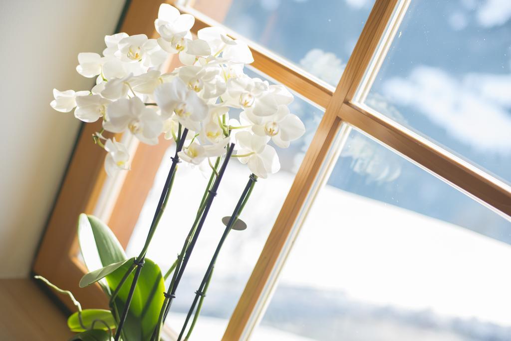 Kendlhof Apartment Sankt Johann im Pongau Ngoại thất bức ảnh